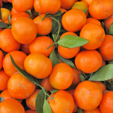 Scoops® Clementine